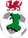Calcio - Galles Premier League - 2009/2010 - Home