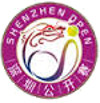 Tennis - Shenzhen - 2018 - Tabella della coppa