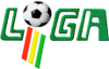 Calcio - Bolivia Primera División - 2019 - Home