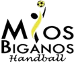 Mios-Biganos Handball (FRA)