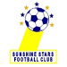 Sunshine Stars FC (NGR)