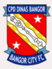 Bangor City FC (WAL)