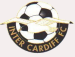 Cardiff Metropolitan University FC (WAL)