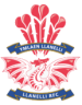 Llanelli RFC (WAL)