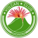 Volcan Club de Moroni (COM)