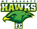 Mount Gravatt Hawks FC