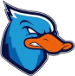 Ducks Lazio
