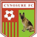 Cynosure FC Port Harcourt