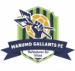 Marumo Gallants FC (RSA)