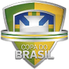 Calcio - Coppa del Brasile - Palmares