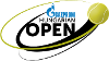 Tennis - Circuito ATP - Budapest - Statistiche