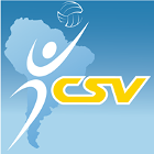 Pallavolo -  - Palmares