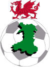 Calcio - Galles Premier League - Girone Retrocessione - 2023/2024 - Risultati dettagliati