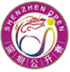 Tennis - Shenzhen - 2017 - Risultati dettagliati