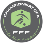 Calcio - Francia CFA - Palmares
