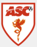 AS Cannes Football (FRA)