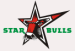 Starbulls Rosenheim