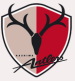 Kashima Antlers