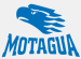 C.D. Motagua