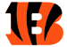 Cincinnati Bengals