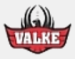 AMD Valke Falcons