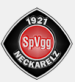 SpVgg Neckarelz (GER)