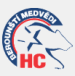 HC Berounstí Medvedi