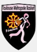 Toulouse Métropole Basket SAS