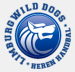 Limburg Wild Dogs