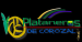 Plataneros de Corozal