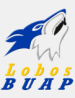 Lobos de la BUAP