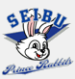 Seibu Prince Rabbits