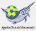 Apaches Club de Mitsamiouli