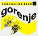 RK Gorenje Velenje (SLO)