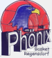 Phönix Basket Regensdorf