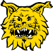 FC Ilves (FIN)