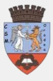 CSM Oradea