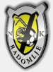 NK Radomlje