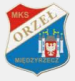 MKS Orzel Miedzyrzecz