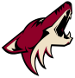 Arizona Coyotes