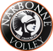 Narbonne Volley