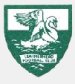 Leatherhead FC