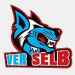 VER Selb