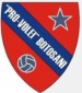 Pro Volei Botosani