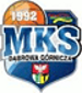 MKS Dabrowa Gornicza