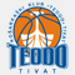 Teodo Tivat