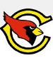 Chicago Cardinals