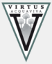 SS Virtus