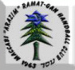 Maccabi Arazim Ramat-Gan (ISR)