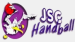 JS Cherbourg Manche HB